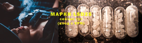 стафф Архангельск