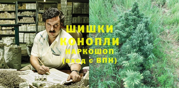 стафф Архангельск