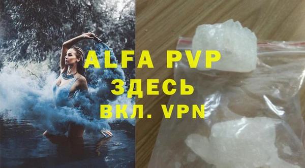 стафф Архангельск