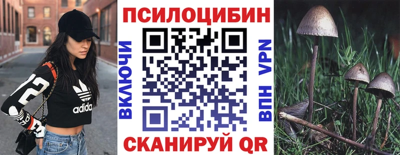Галлюциногенные грибы прущие грибы  Купить  Рассказово 